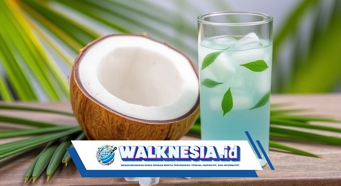 Air Kelapa: Manfaat dan Kandungan Gizi untuk Pemulihan Tubuh