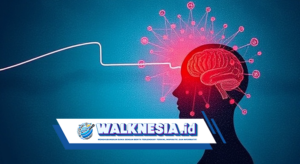 Stres dan Otak: Cara Mengelola Stres untuk Kesehatan Mental yang Lebih Baik