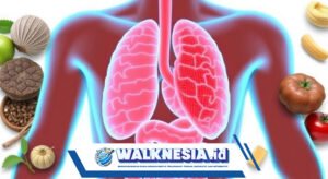 Cara Efektif Meningkatkan Sistem Imun Tubuh
