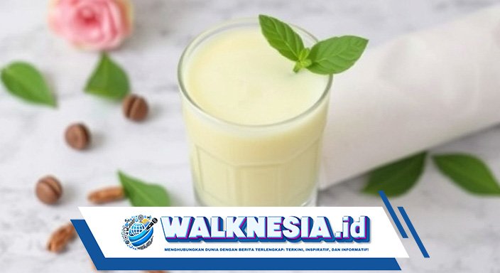 Minuman Elektrolit Alami: Cara Membuatnya dan Manfaat bagi Tubuh