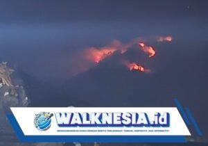 Kebakaran di Gunung Agung, 104 Hektare Hutan Lindung Terbakar