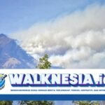 Kebakaran Hutan Gunung Rinjani Masih Belum Padam hingga Kamis Sore