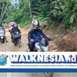 Jalur Cianjur Selatan Pulih Kembali Setelah Longsor dan Amblas