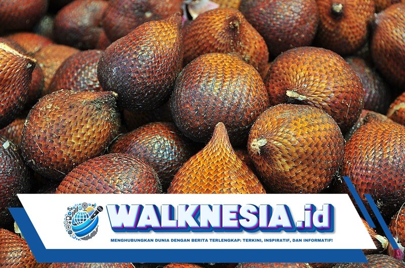 Apa Saja Manfaat Buah Salak?
