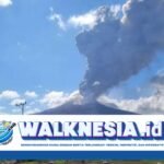 Gunung Lewotobi Meletus Kembali, Terlihat Sinar Api di Puncaknya