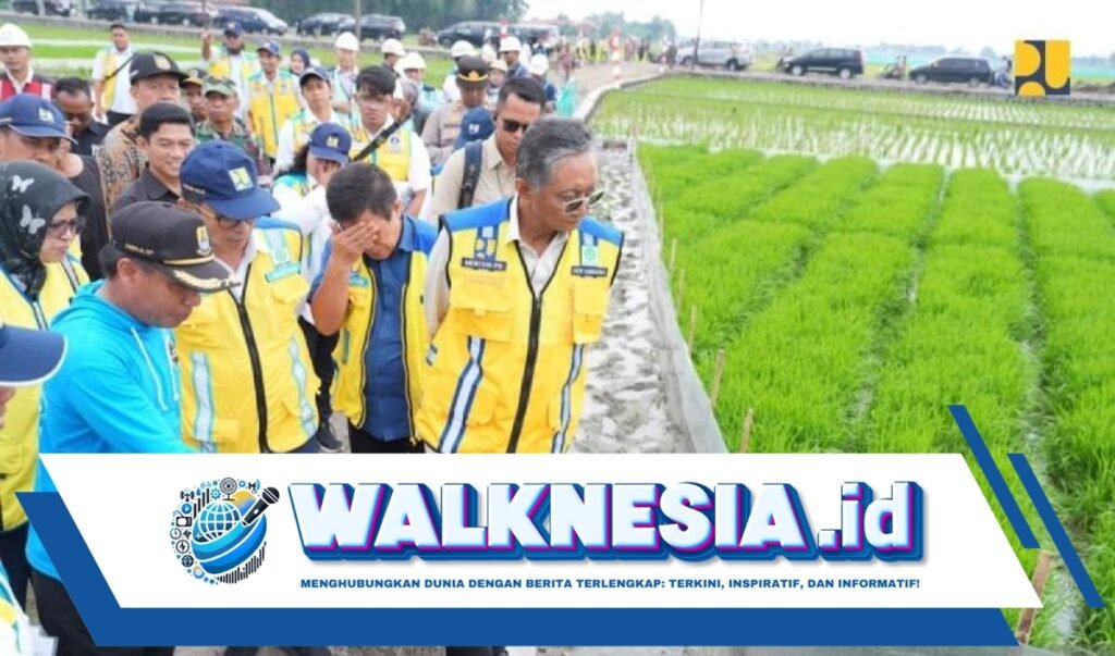 Irigasi Padi Hemat Air Diterapkan di Cirebon, Diharapkan Mampu Tingkatkan Hasil Panen