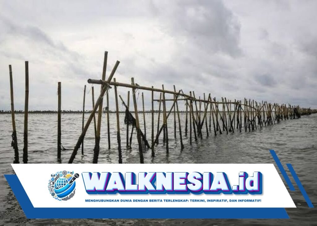 Proyek Pagar Laut di Tangerang: Reklamasi Alami atau Ancaman Lingkungan?