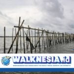 Proyek Pagar Laut di Tangerang: Reklamasi Alami atau Ancaman Lingkungan?