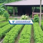 Strategi Prioritas Program Kesehatan Nasional 2025: Meningkatkan Kesehatan Masyarakat Indonesia