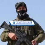 Pawai Kendaraan Hamas di Gaza: Pakar Israel Soroti Kegagalan Agresi Militer IDF