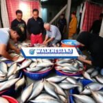 Harapan Pedagang Pasar Ikan Muara: Fasilitas Layak untuk Kesejahteraan Bersama