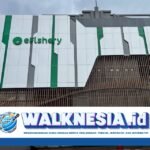 eFishery Kembali PHK 300 Karyawan, Langkah Efisiensi di Tengah Tantangan