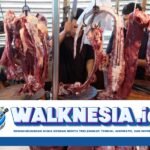 Kenali Ciri-ciri Daging Gelonggongan yang Marak Ditemukan di Sidoarjo