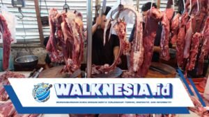 Kenali Ciri-ciri Daging Gelonggongan yang Marak Ditemukan di Sidoarjo