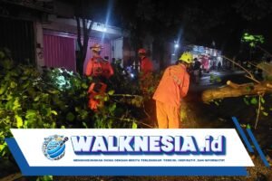 Pengendara Motor di Kediri Tertimpa Pohon Tumbang akibat Truk