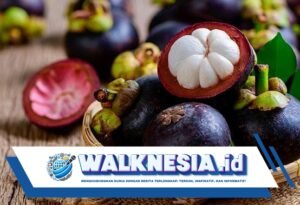 Manggis Bagus untuk Sakit Apa? Berikut 7 Daftarnya