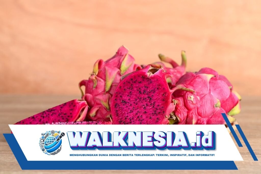 Apa Manfaat dari Buah Naga untuk Kesehatan? Berikut 10 Daftarnya