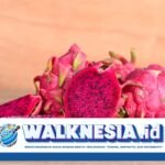 Apa Manfaat dari Buah Naga untuk Kesehatan? Berikut 10 Daftarnya
