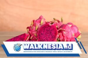Apa Manfaat dari Buah Naga untuk Kesehatan? Berikut 10 Daftarnya