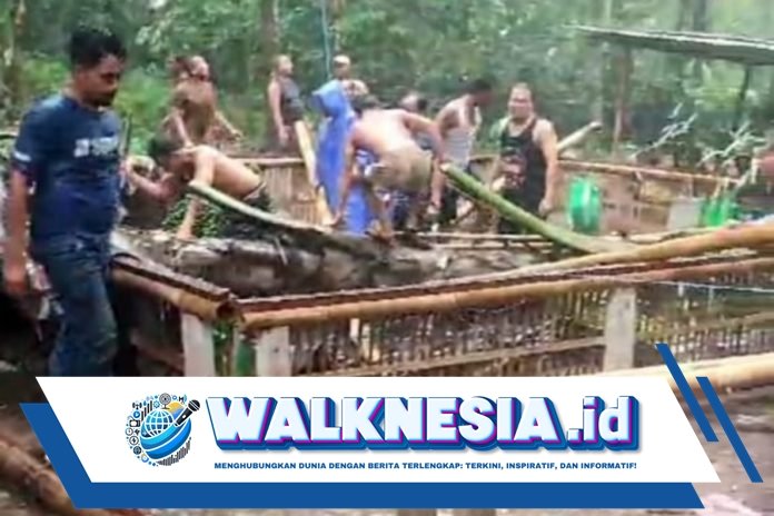 Tiga Orang Meninggal Akibat Pohon Tumbang di Arena Sabung Ayam Bali