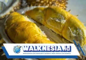 Bahaya Makan Durian Berlebihan, Ketahui Efek Sampingnya