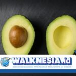 Benarkah Alpukat Bisa Menurunkan Gula Darah? Ini Faktanya