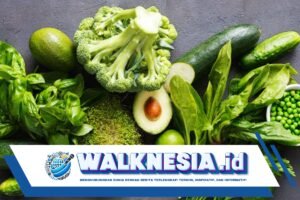 5 Pilihan Sayuran yang Bantu Menurunkan Gula Darah Secara Alami