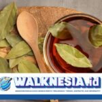 Apa Boleh Minum Rebusan Daun Salam Malam Hari? Ini Penjelasannya