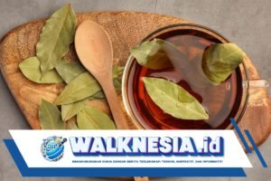 Apa Boleh Minum Rebusan Daun Salam Malam Hari? Ini Penjelasannya