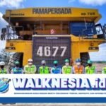 PT PAMA Buka Rekrutmen di 8 Posisi, Simak Syaratnya