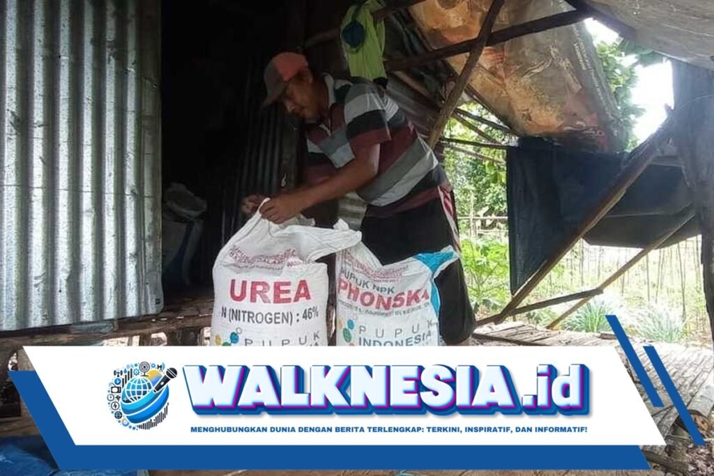 Pemerintah Pastikan Pupuk Subsidi di Maluku Mudah Diakses