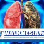 Kasus Kanker Paru Meningkat pada Non-Perokok, Polusi Udara Diduga Jadi Pemicu