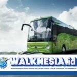 Alasan Orang Pilih Bus Dinas untuk Disewa, Dikenal Murah dan Aman