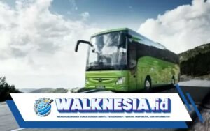 Alasan Orang Pilih Bus Dinas untuk Disewa, Dikenal Murah dan Aman