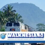 Peningkatan Penggunaan Layanan Kereta Api Jarak Jauh oleh WNA pada Januari 2025