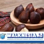 Buah Salak Bagus untuk Apa? Berikut 6 Manfaatnya untuk Kesehatan