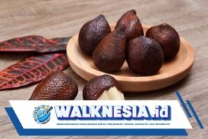 Buah Salak Bagus untuk Apa? Berikut 6 Manfaatnya untuk Kesehatan