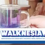 Kelompok yang Harus Menghindari Konsumsi Bunga Telang