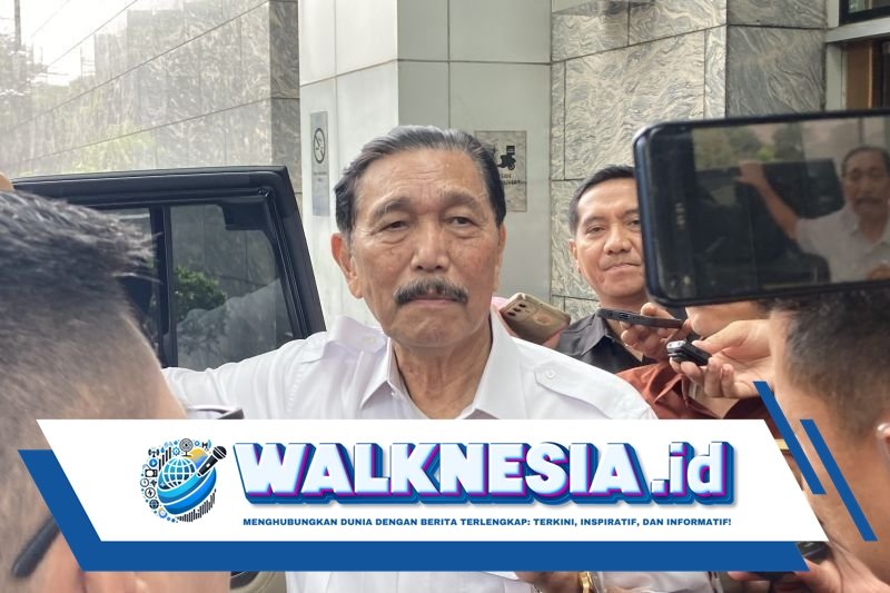 Luhut Tanggapi Tagar Indonesia Gelap, Bahas Masalah Lapangan Kerja di Indonesia