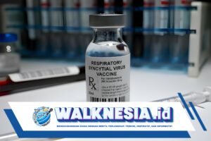 PAPDI Serukan Vaksinasi RSV untuk Lansia dan Penderita Penyakit Kronis di 2025