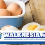 Ilmuwan Temukan Cara Masak Telur Rebus yang Diklaim Lebih Sehat dan Sempurna
