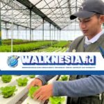 Inovasi Teknologi Dorong Minat Bertani di Kalangan Gen-Z