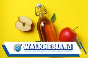 Manfaat Cuka Sari Apel untuk Kesehatan yang Perlu Diketahui