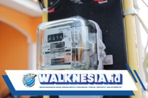 Diskon Listrik 50 Persen Segera Berakhir, PLN Beri Saran Ini