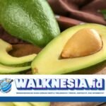 Manfaat Rutin Makan Alpukat, Bantu Redakan Berbagai Penyakit