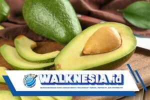 Manfaat Rutin Makan Alpukat, Bantu Redakan Berbagai Penyakit