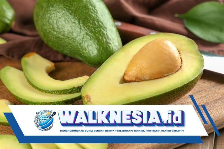 Manfaat Rutin Makan Alpukat, Bantu Redakan Berbagai Penyakit