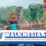 Kenduren Durian Wonosalam: Ribuan Durian Dibagikan Gratis dalam Perayaan Khas Jombang