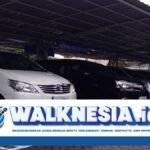 Keponakan Laporkan Pamannya yang Kabur Bawa Belasan Mobil Rental, Jejaknya Masih Hilang