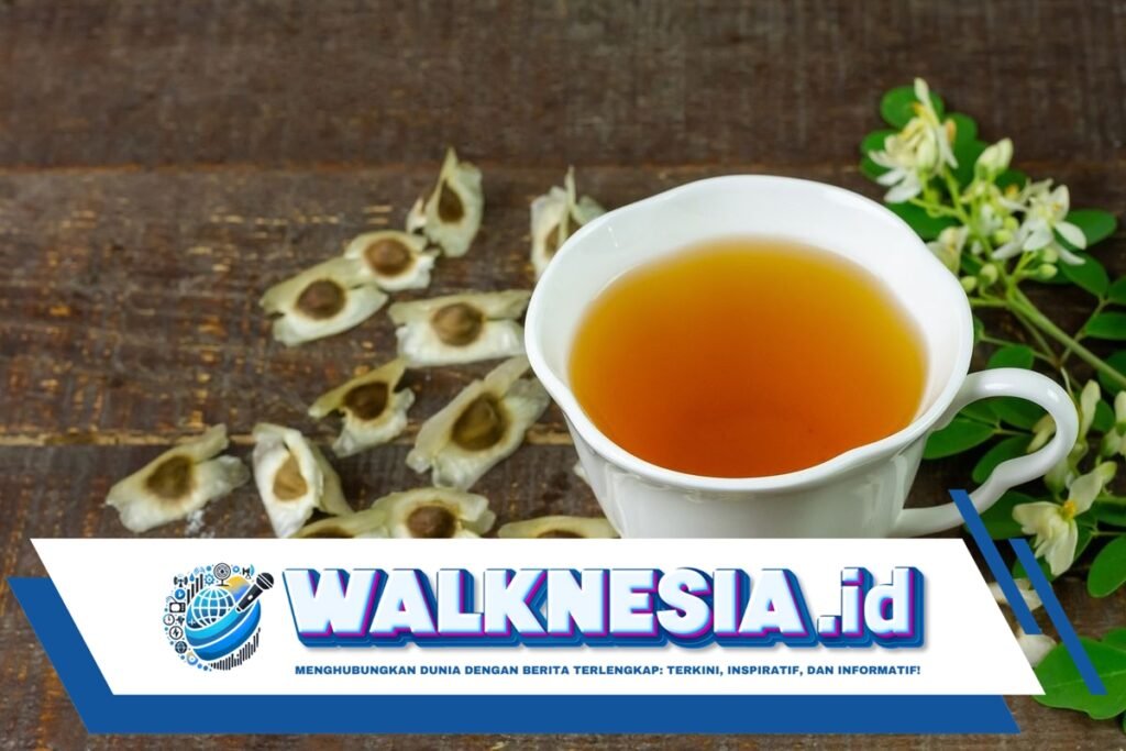 Kapan Waktu yang Tepat Minum Air Rebusan Daun Kelor? Ini Ulasannya
